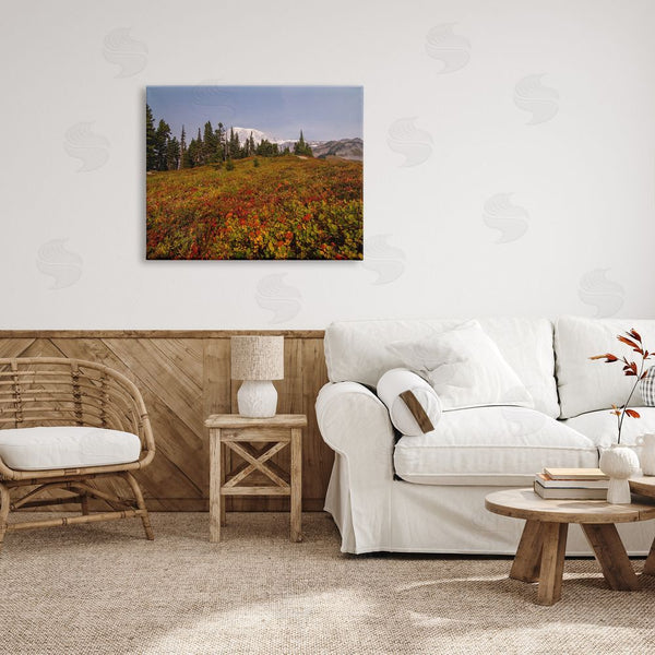 Stupell Industries Aaron Matheson | Mountain Meadow Scenery Wall Art