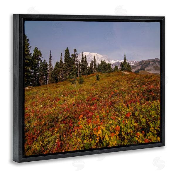 Stupell Industries Aaron Matheson | Mountain Meadow Scenery Wall Art