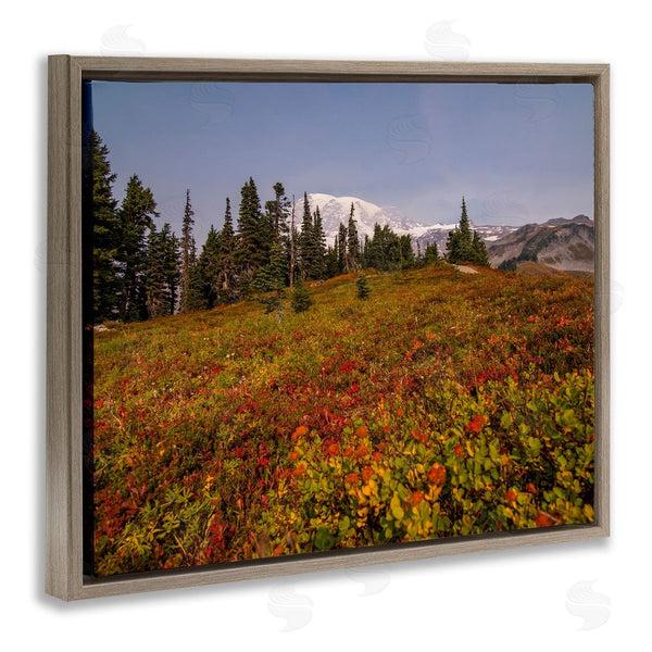 Stupell Industries Aaron Matheson | Mountain Meadow Scenery Wall Art