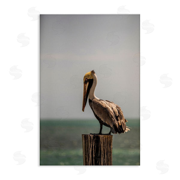 stupell industries Aaron Matheson | Nautical Landscape Pelican Wall Art