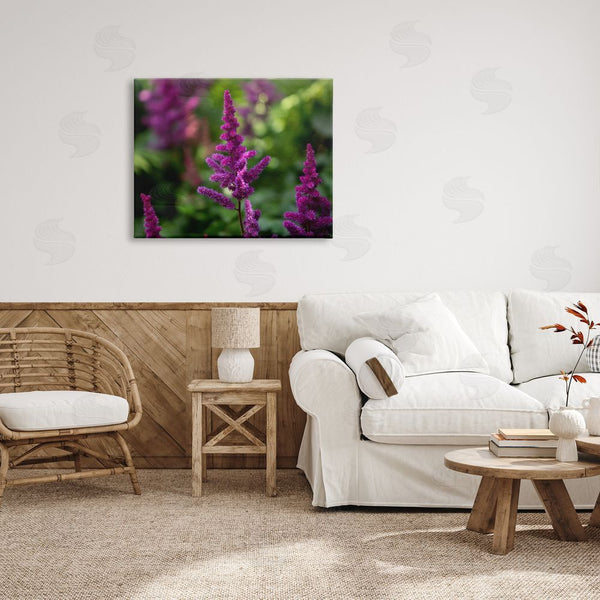 Stupell Industries Aaron Matheson | Purple Flower In Nature Wall Art