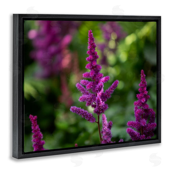 Stupell Industries Aaron Matheson | Purple Flower In Nature Wall Art