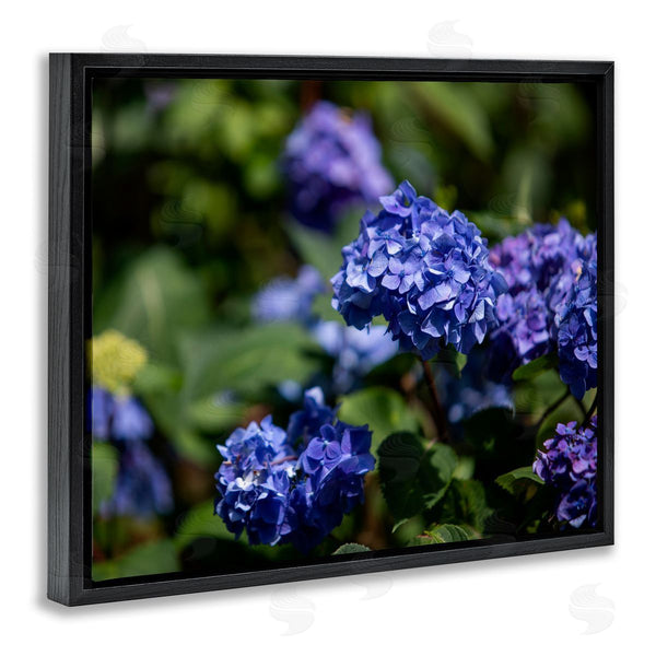 Stupell Industries Aaron Matheson | Purple Hydrangea Photography Wall Art
