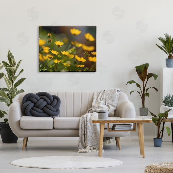 Stupell Industries Aaron Matheson | Yellow Daisy Wildflower Field Wall Art