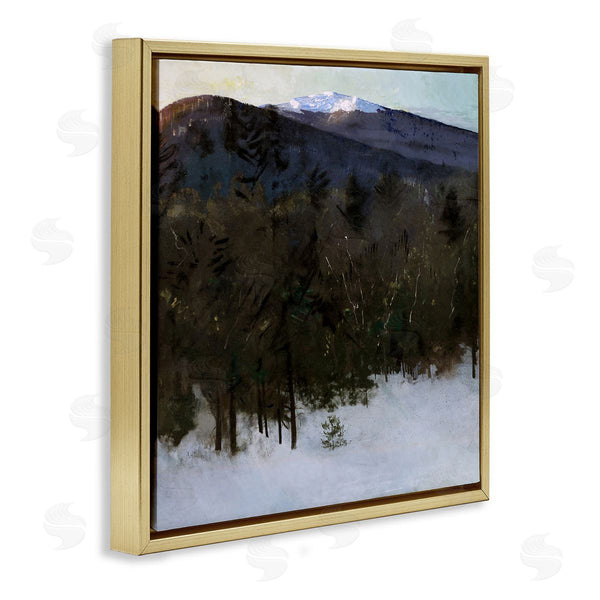 Stupell Industries Abbott Handerson Thayer | Winter Nature Painting