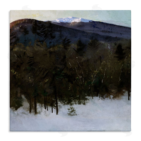 stupell industries Abbott Handerson Thayer | Winter Nature Painting