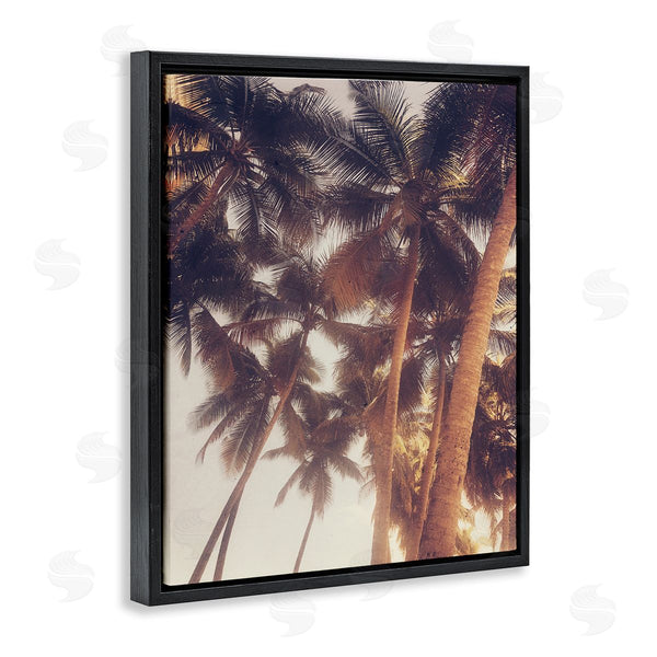 Stupell Industries Acosta | Sun Bleached Palm Tree Tops Vintage Summer Sky Wall Art
