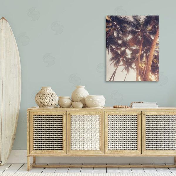 Stupell Industries Acosta | Sunlit Palm Tree Wall Art