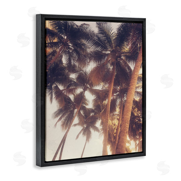 Stupell Industries Acosta | Sunlit Palm Tree Wall Art