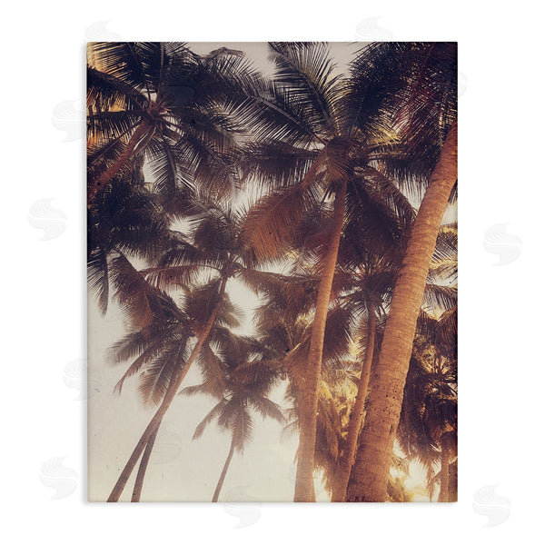 stupell industries Acosta | Sunlit Palm Tree Wall Art