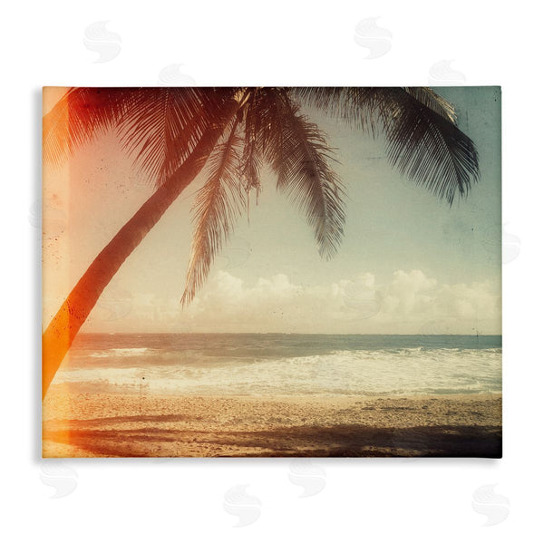 stupell industries Acosta | Vintage Sun Bleached Ocean Scene Hanging Palm Tree Wall Art