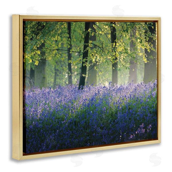 Stupell Industries Adelino Goncalves | Floral Lavender Field Morning Light