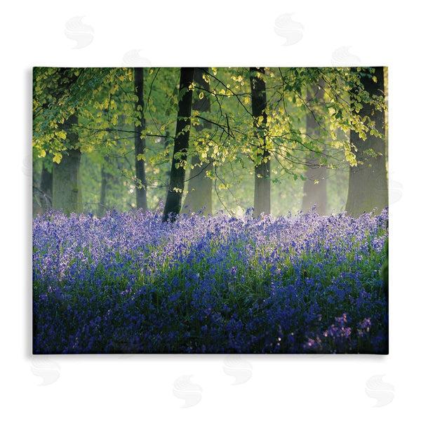 stupell industries Adelino Goncalves | Floral Lavender Field Morning Light
