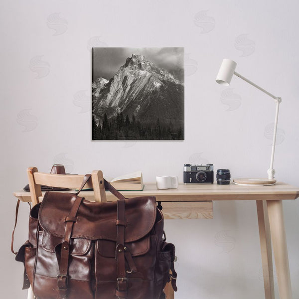 Stupell Industries Alan Majchrowicz | Canadian Rockies View Wall Art