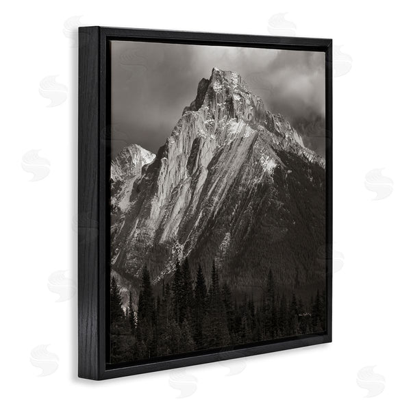 Stupell Industries Alan Majchrowicz | Canadian Rockies View Wall Art
