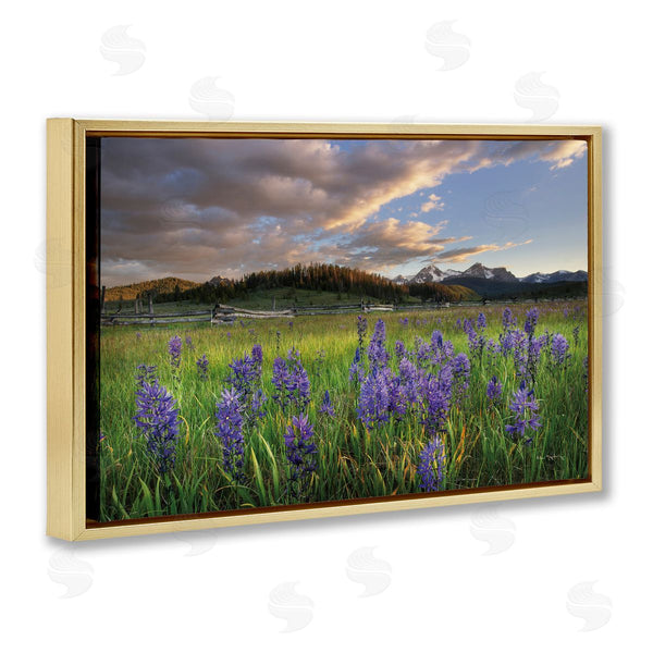 Stupell Industries Alan Majchrowicz | Lavender Bloom Meadows