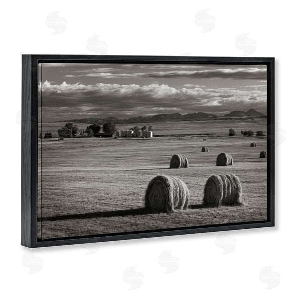 Stupell Industries Alan Majchrowicz | Montana Hay Bales Wall Art