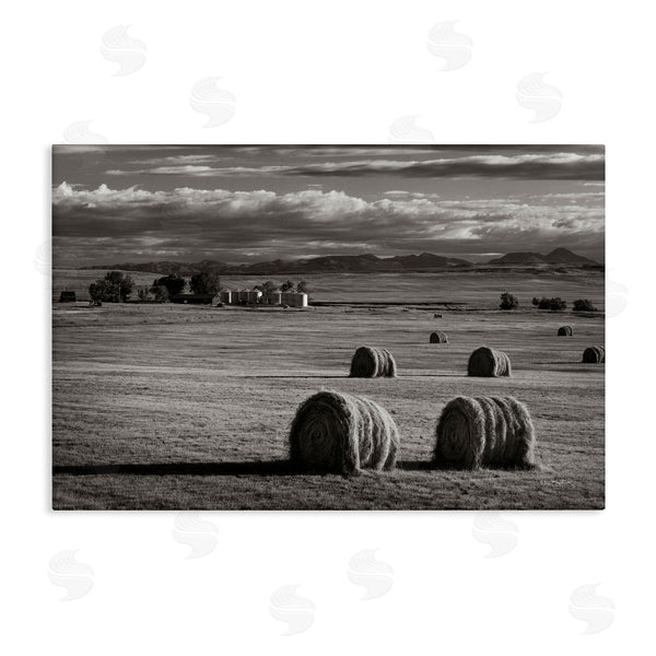stupell industries Alan Majchrowicz | Montana Hay Bales Wall Art
