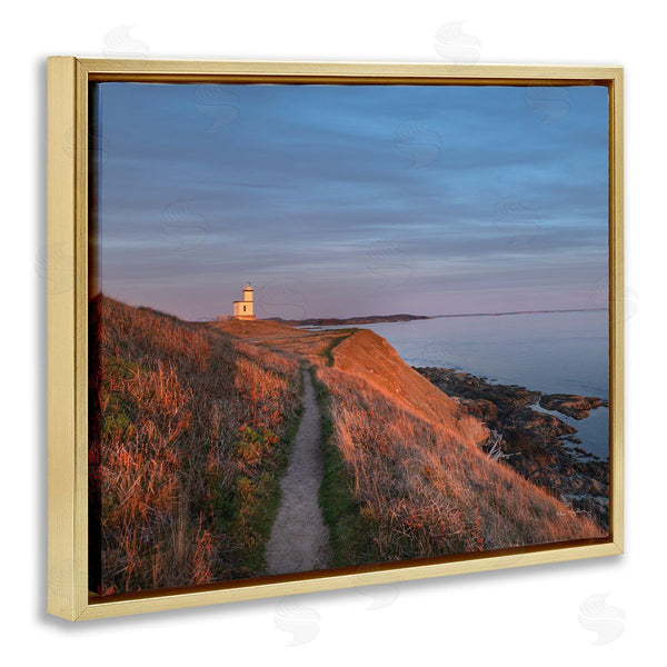 Stupell Industries Alan Majchrowicz | Path To Lighthouse