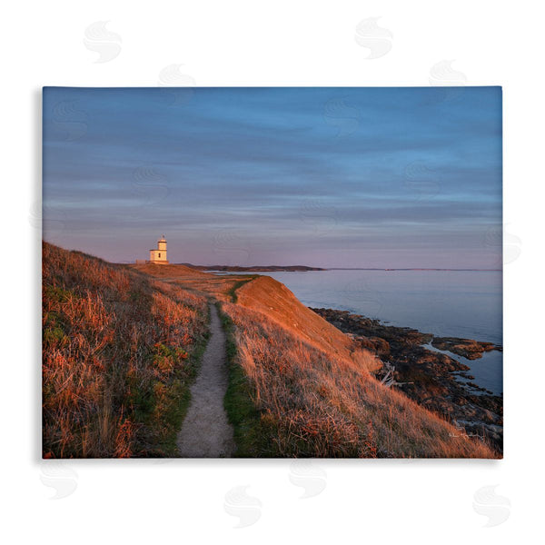 Stupell Industries Alan Majchrowicz | Path To Lighthouse