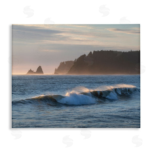 stupell industries Alan Majchrowicz | Rolling Waves Photography