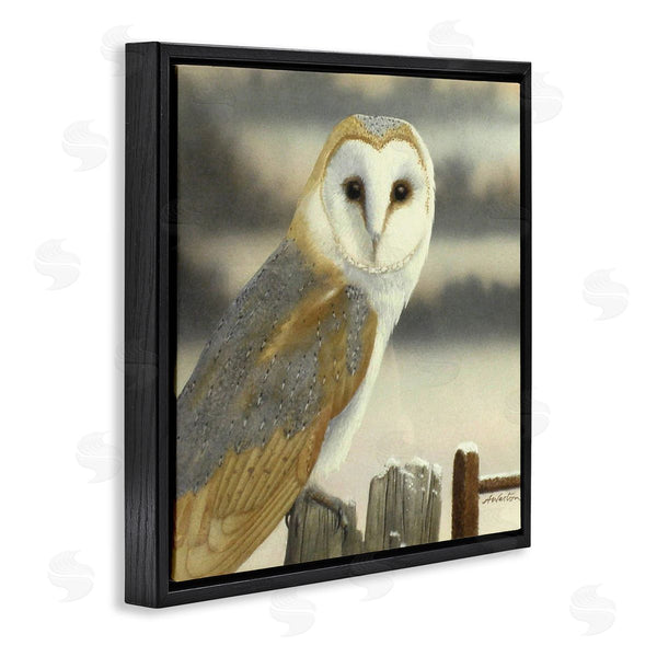 Stupell Industries Alan Weston | Barn Owl Gazing Perched Niveous Rural Fence Wall Art