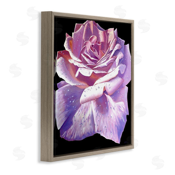Stupell Industries Alan Weston | Lush Pink Rose Petals Flower Water Droplets Wall Art