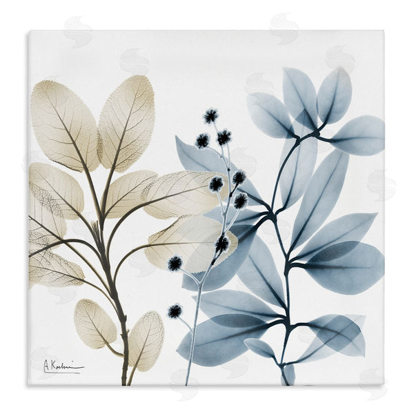 stupell industries Albert Koetsier | Blue & Beige Plants Wall Art