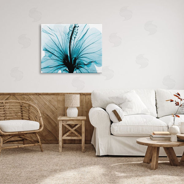 Stupell Industries Albert Koetsier | Blue Flower X-Ray Wall Art