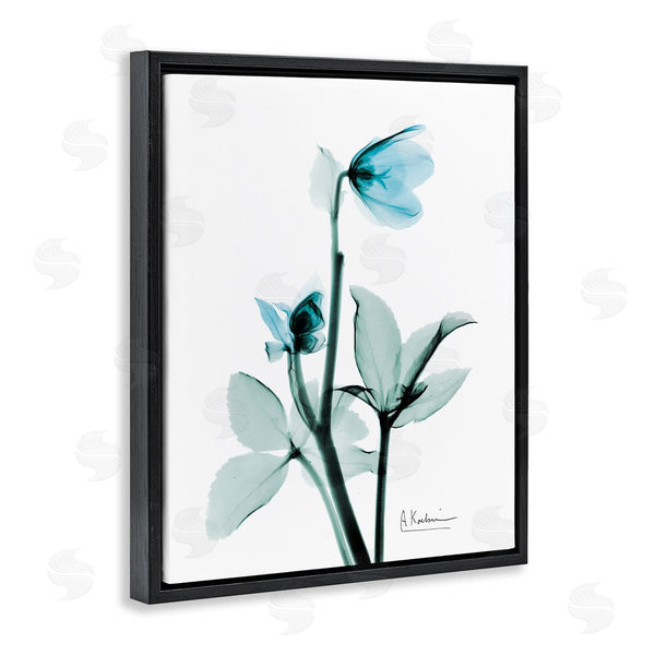 Stupell Industries Albert Koetsier | Blue Wildflower Photography Wall Art