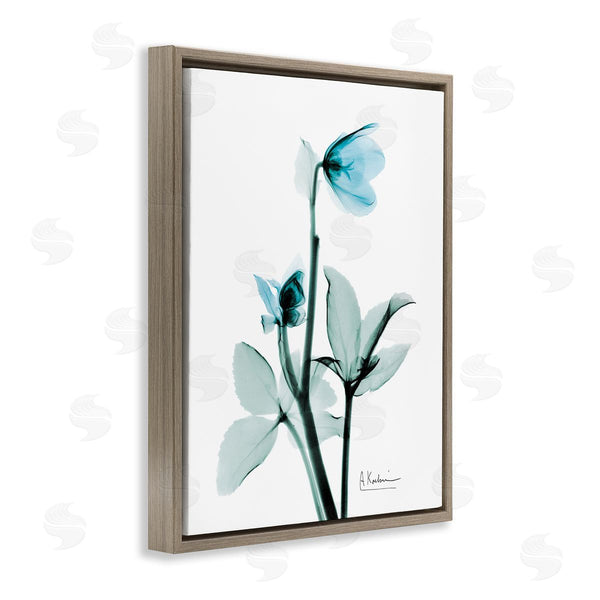 Stupell Industries Albert Koetsier | Blue Wildflower Photography Wall Art
