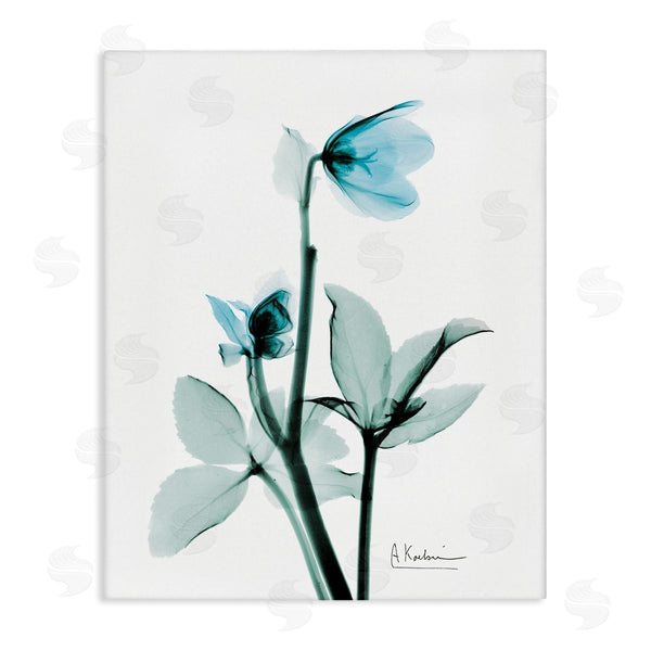 Stupell Industries Albert Koetsier | Blue Wildflower Photography Wall Art