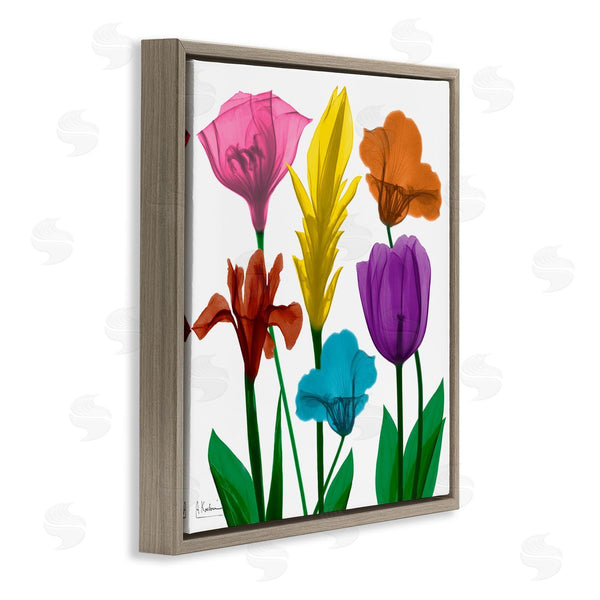 Stupell Industries Albert Koetsier | Bold Rainbow Spring Flowers Translucent Floral Photography Wall Art