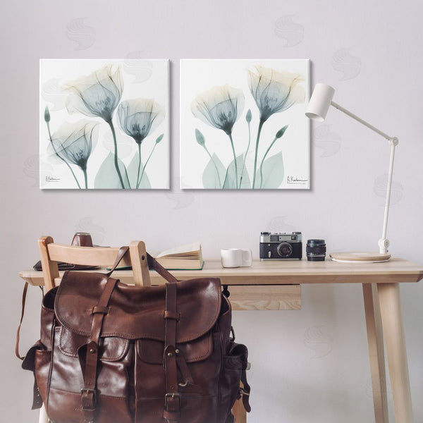 Stupell Industries Albert Koetsier | Budding Opaque Tulips Wall Art