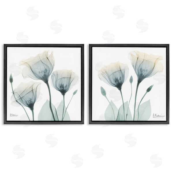 Stupell Industries Albert Koetsier | Budding Opaque Tulips Wall Art