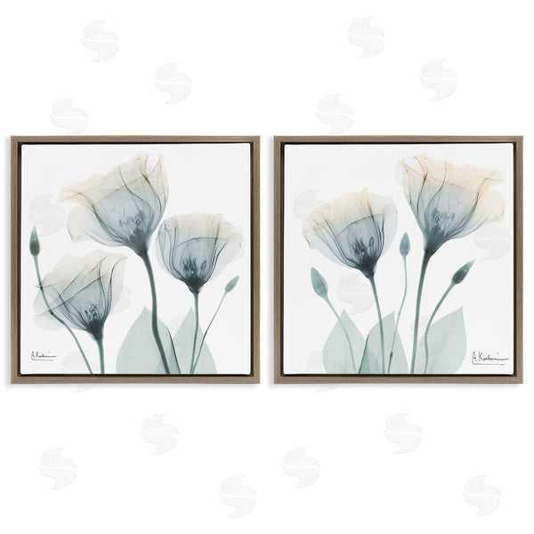 Stupell Industries Albert Koetsier | Budding Opaque Tulips Wall Art