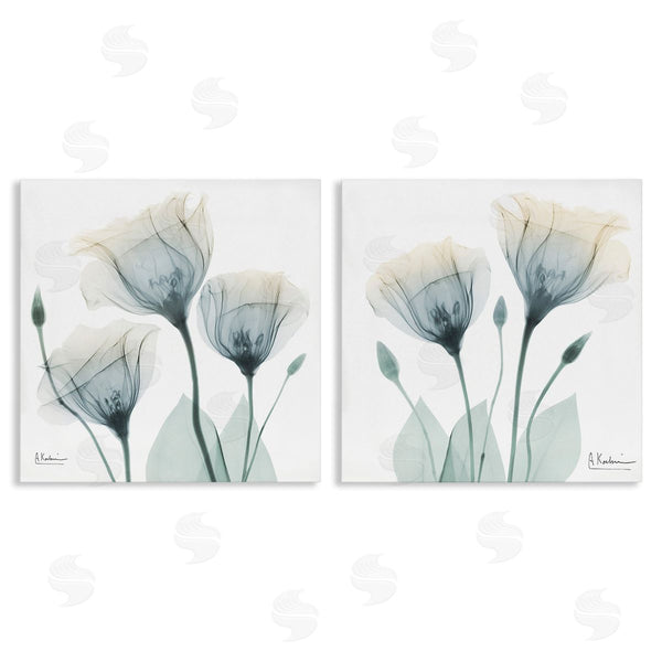 stupell industries Albert Koetsier | Budding Opaque Tulips Wall Art