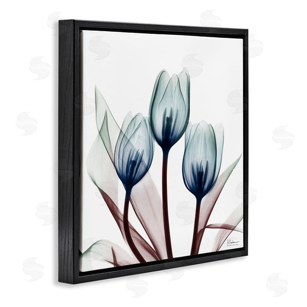 Stupell Industries Albert Koetsier | Chic Blue Translucent Tulips