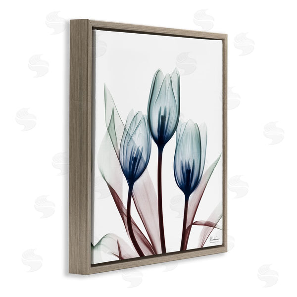 Stupell Industries Albert Koetsier | Chic Blue Translucent Tulips