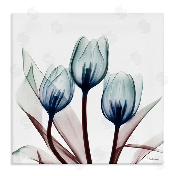 stupell industries Albert Koetsier | Chic Blue Translucent Tulips