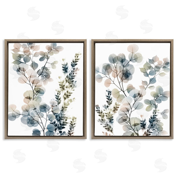 Stupell Industries Albert Koetsier | Collage Of Translucent Plants