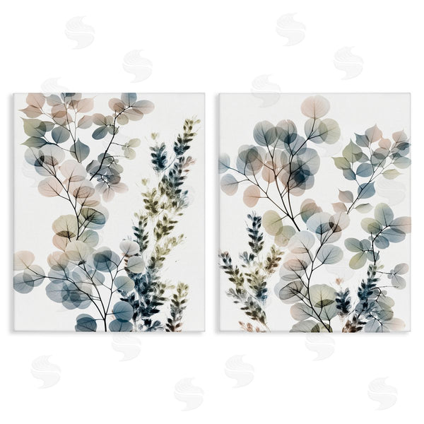 stupell industries Albert Koetsier | Collage of Translucent Plants