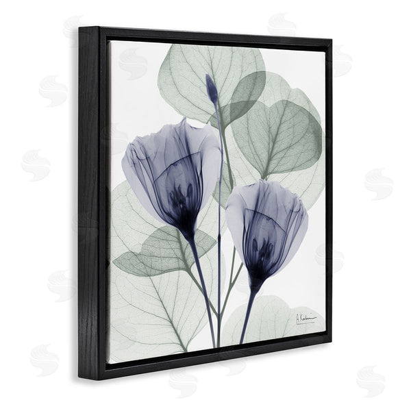 Stupell Industries Albert Koetsier | Contemporary Eucalyptus & Herbs