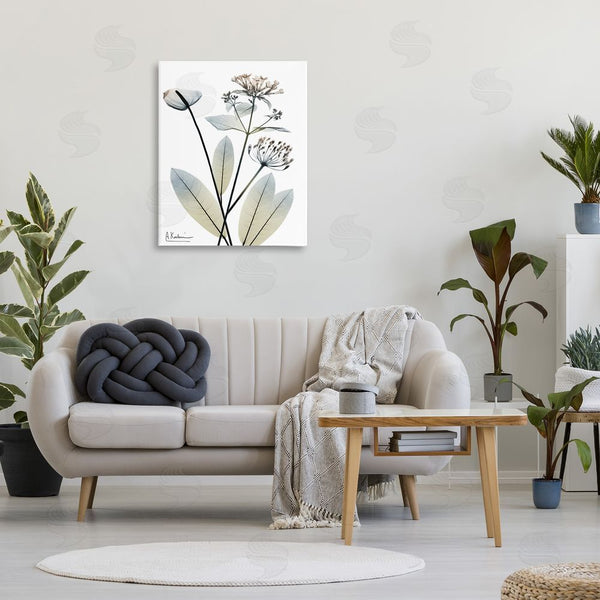 Stupell Industries Albert Koetsier | Contemporary Flower Shapes Wall Art