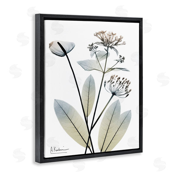 Stupell Industries Albert Koetsier | Contemporary Flower Shapes Wall Art
