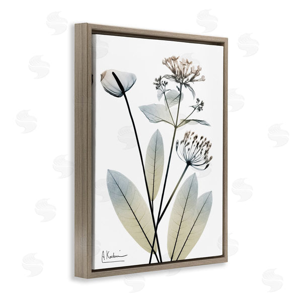 Stupell Industries Albert Koetsier | Contemporary Flower Shapes Wall Art