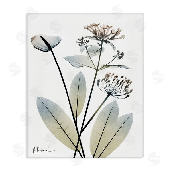 stupell industries Albert Koetsier | Contemporary Flower Shapes Wall Art