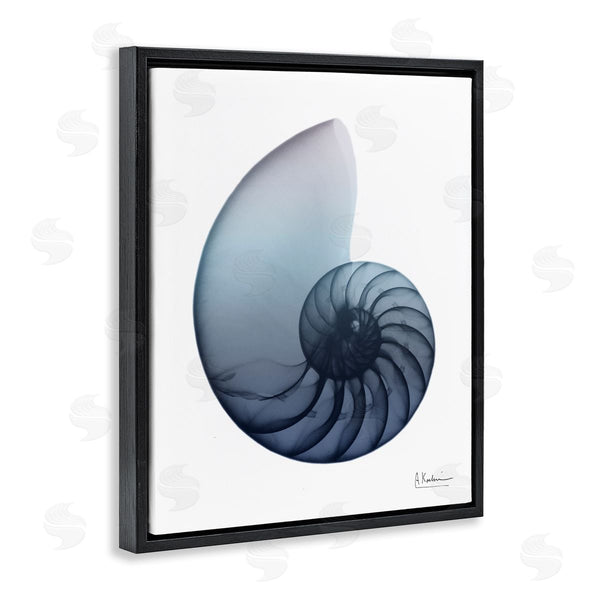 Stupell Industries Albert Koetsier | Contemporary Nautilus Shell
