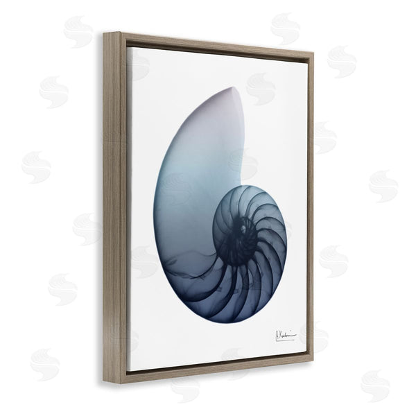 Stupell Industries Albert Koetsier | Contemporary Nautilus Shell