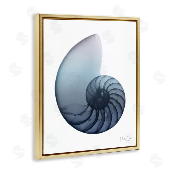 Stupell Industries Albert Koetsier | Contemporary Nautilus Shell